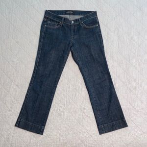 Size 26 crop dry aged denim James jeans like new